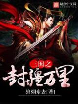 三国之封疆万里小说