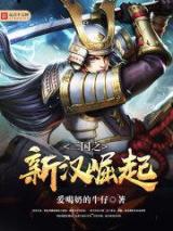 三国之新汉崛起小说