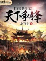 冒牌县令之天下争锋小说