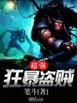 超强狂暴盗贼小说