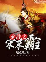 水浒之宋末霸主小说