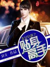 美女总裁之贴身高手小说