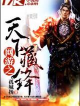 网游之天下藏锋小说