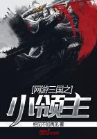 网游三国之小领主小说