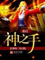 幕后神之手小说