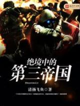 绝境中的第三帝国小说