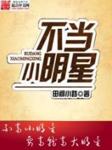 不当小明星小说