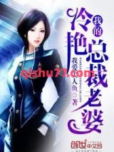 我的冷艳总裁老婆小说