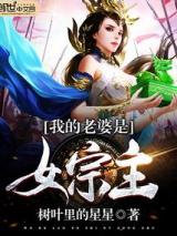 我的老婆是女宗主小说