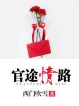 官途情路小说
