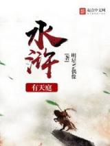 水浒有天庭小说