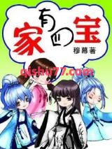 家有四宝小说