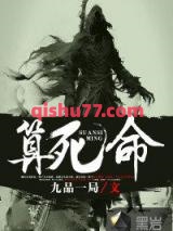 算死命小说