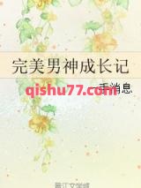 完美男神成长记小说