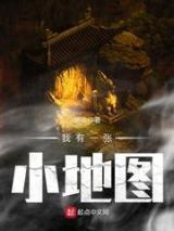 我有一张小地图小说