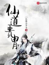 仙道贵胄小说