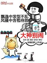 大神别闹小说