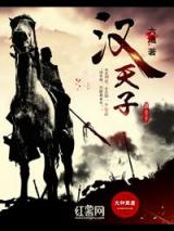 汉天子小说