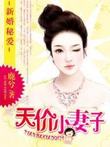 新婚秘爱：天价小妻子小说