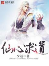 仙心求道小说