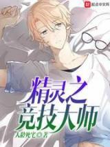 精灵之竞技大师小说