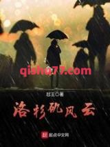洛杉矶风云小说