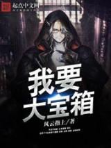 我要大宝箱小说