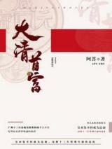 大清首富小说