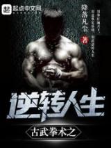 古武拳术之逆转人生小说