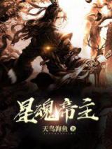 星魂帝主小说