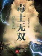 三国之毒士无双小说