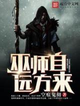 巫师自远方来小说