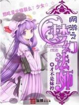 网游之梦幻法师小说