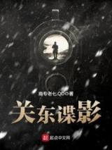 关东谍影小说