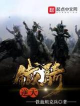 逆天铁骑小说