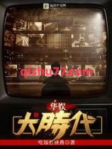 华娱大时代小说