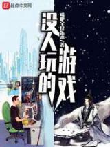 没人玩的游戏小说