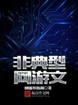 非典型网游文小说