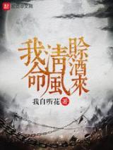 我命清风赊酒来小说