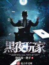 黑夜玩家小说