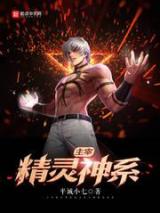 主宰精灵神系小说