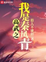 高武之我是秦凤青小说