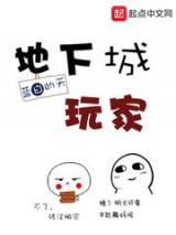 地下城玩家小说