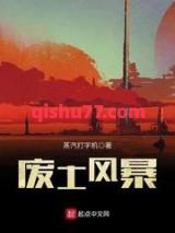 废土风暴小说