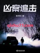 凶案追击小说
