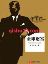 全球财富小说