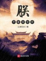 朕不是宋钦宗小说