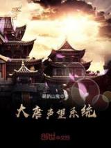 大唐声望系统小说