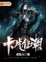 卡片狂潮小说