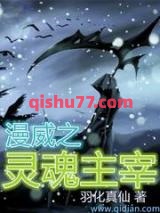 美漫之灵魂主宰小说